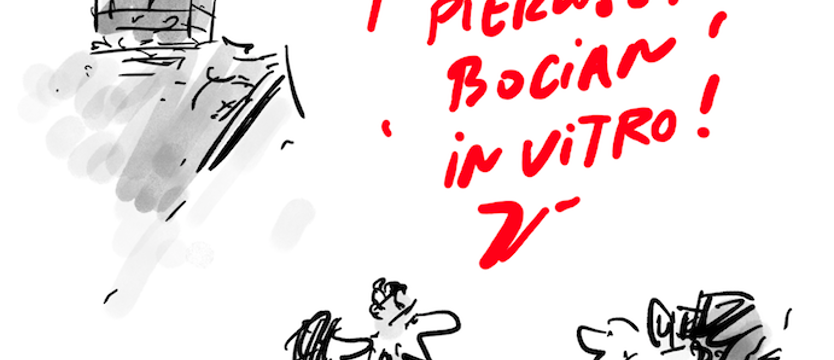Bez komentarza (54)