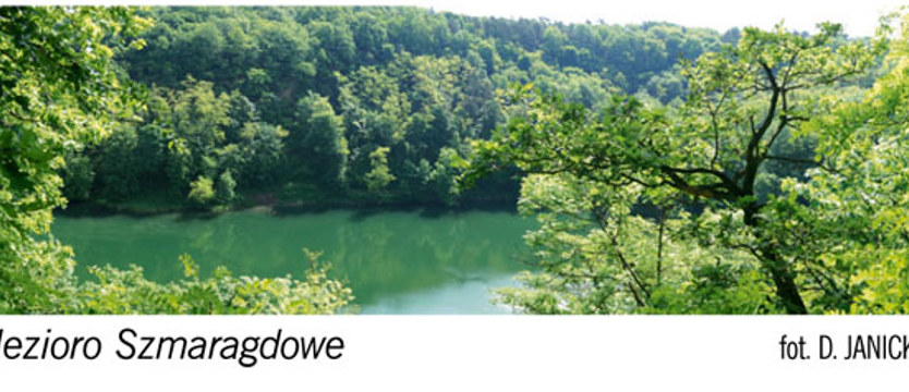 Dzika przyroda w sąsiedztwie dużego miasta