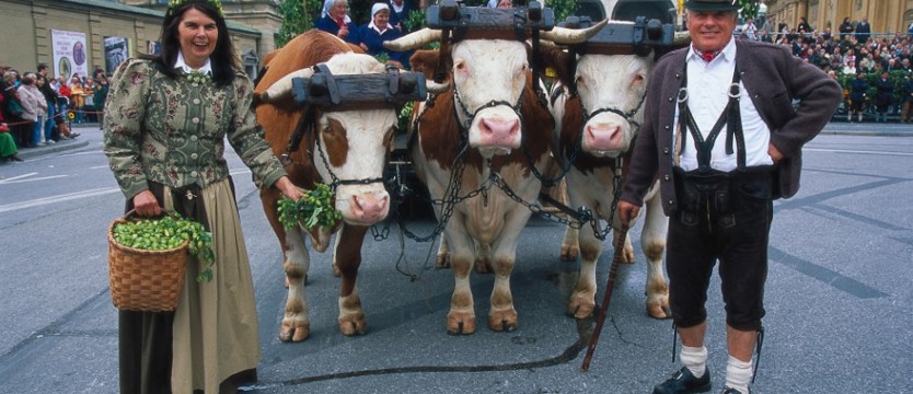 Jak przetrwać Oktoberfest?