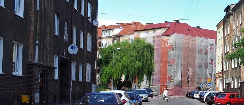 Każdego (jednego) drzewa żal