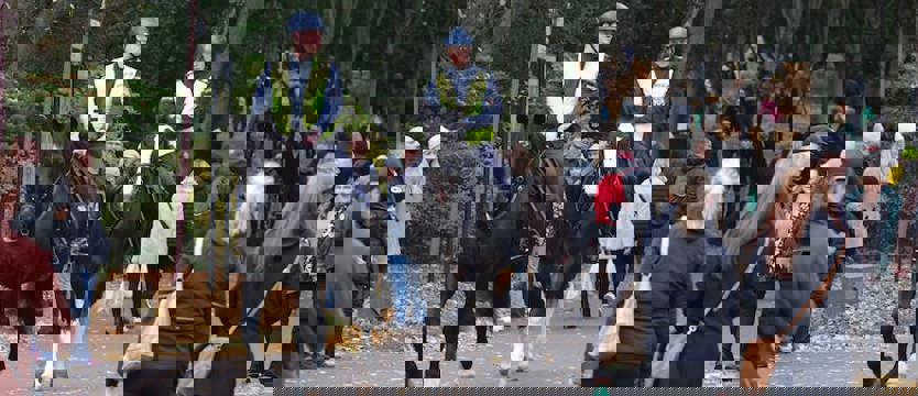 Patrole konne na Cmentarzu Centralnym