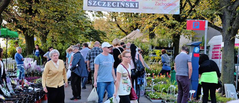 Zielony zawrót głowy (galeria)