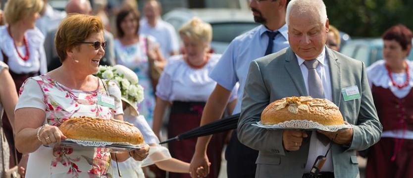 Różane dożynki (galeria)