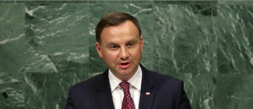 Siła prawa, a nie prawo siły
