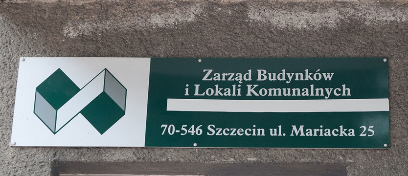 Lokale do wynajęcia 