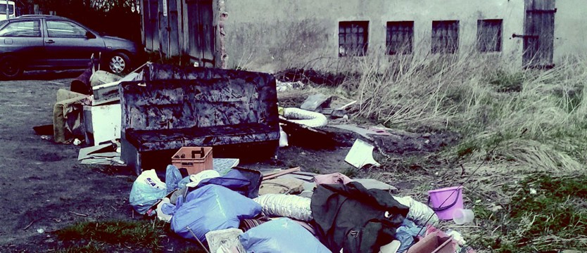 500 zł mandatu za wyrzucenie śmieci