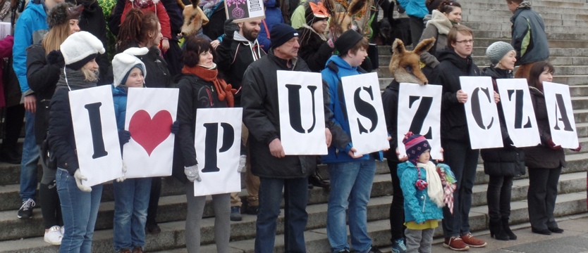 KE przeciwko wycince w Puszczy Białowieskiej