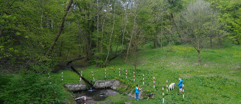 Park zieleni czy rozrywki?
