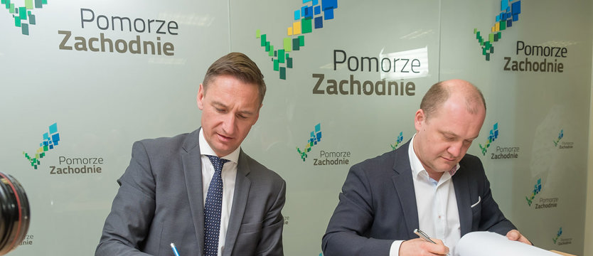 Hybrydy powalczą ze... smogiem