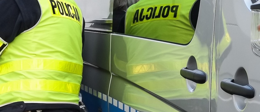 Nastolatki pobiły dziewczynę w parku