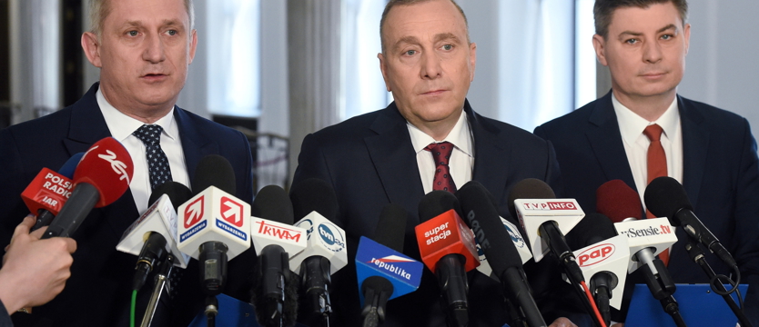 Zapowiedzi Platformy Obywatelskiej