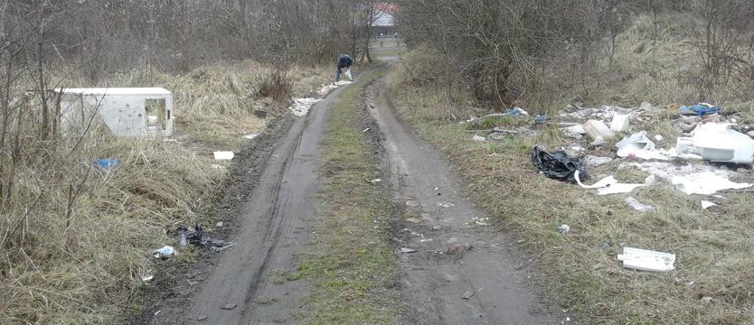 Śmietniska w centrum miasta