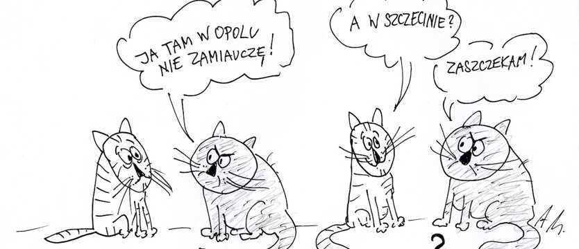 Bez komentarza (65)