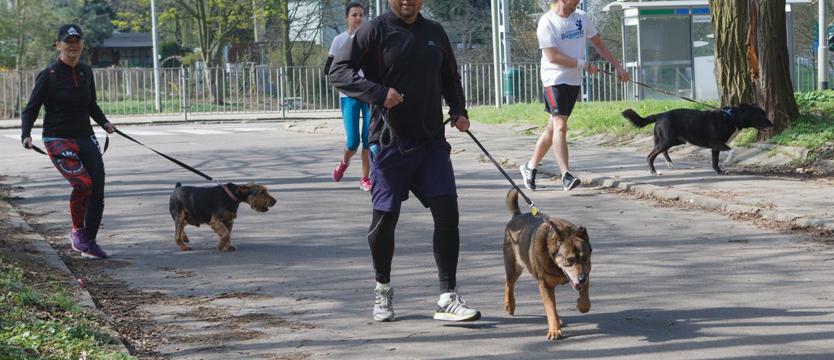  Na dobre w Dobrej