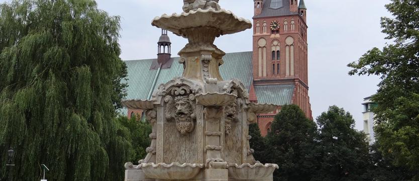 Koncepcje dla pl. Orła Białego