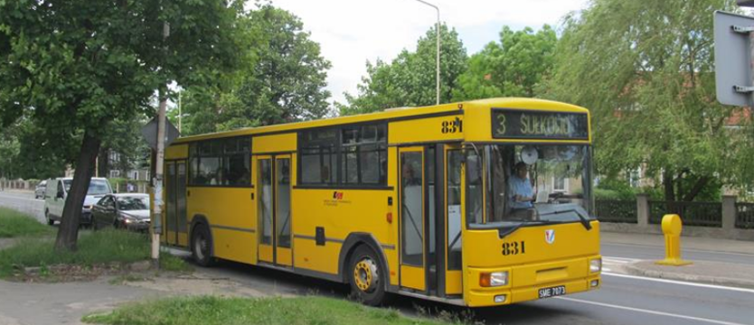 Tu spotkasz kanarów