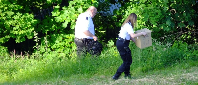 NAPISZ DO NAS. Straż Miejska uratowała kaczki