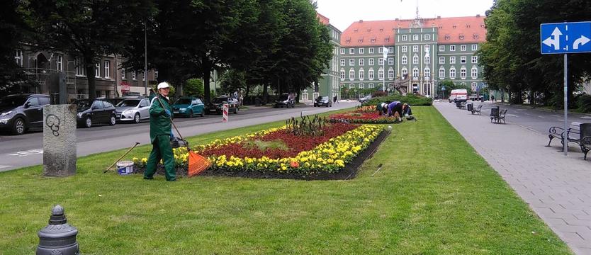 Kwiaty dla miasta