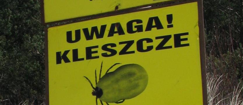 Borelioza – trudno o diagnozę