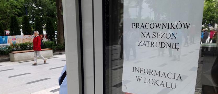 Zatrudnią od zaraz!!!