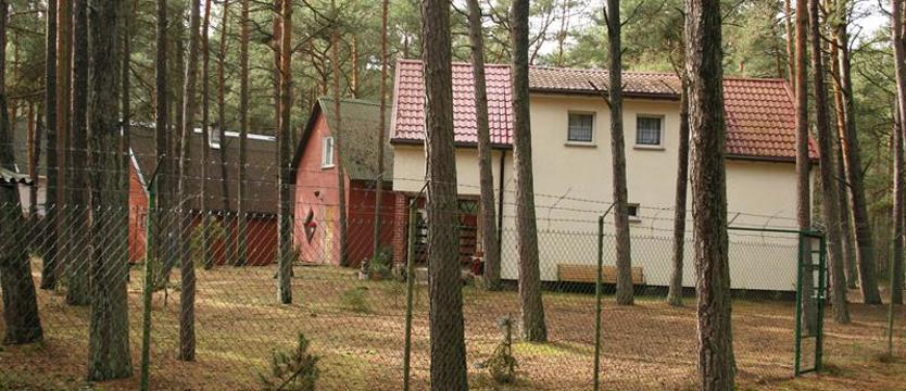 Harcerze nie gapy i podatków nie płacą