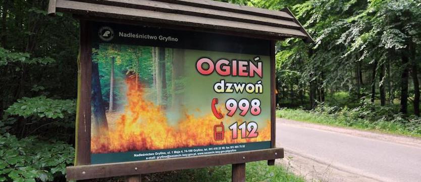 Instytut Badawczy Leśnictwa informuje o dużym zagrożeniu pożarowym lasów