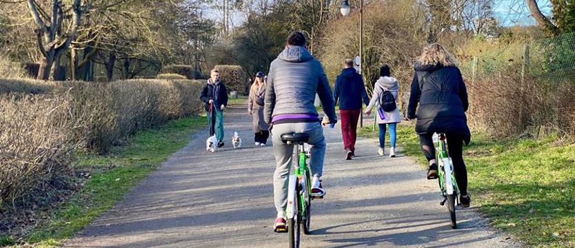 Szczecin bez sprawnej polityki rowerowej. Pomysły są, ale nie ma woli miasta?