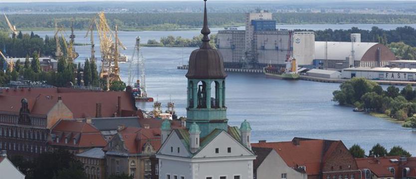 Dzień Kota i sztuka. Już w sobotę zwiedzanie za karmę