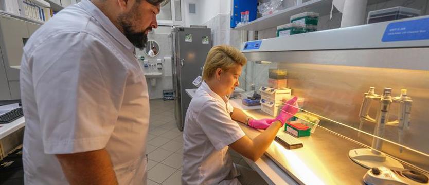 Szczecińscy genetycy rzucą nowe światło na bitwę pod Grunwaldem