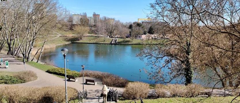 Przy Stawie Brodowskim będzie park Władysława Bartoszewskiego