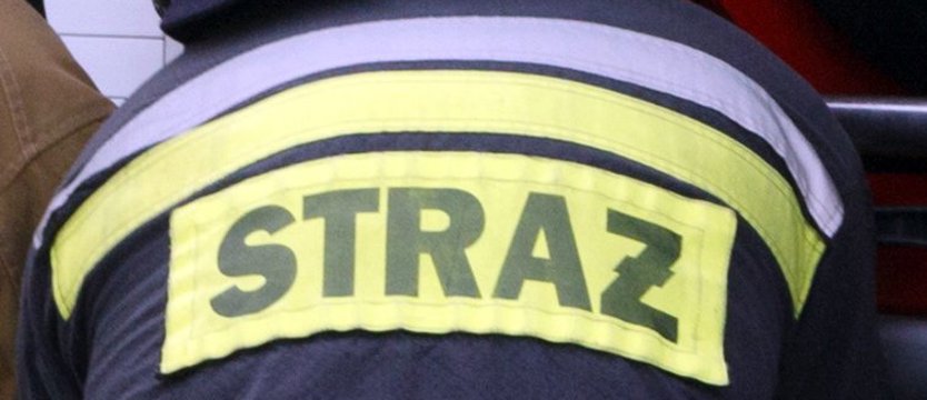 Zapalił się garaż. Zagrożony był budynek mieszkalny
