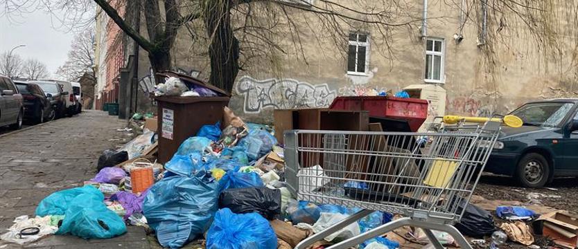 Dość śmietnisk. Powracający problem przy ul. Radogoskiej