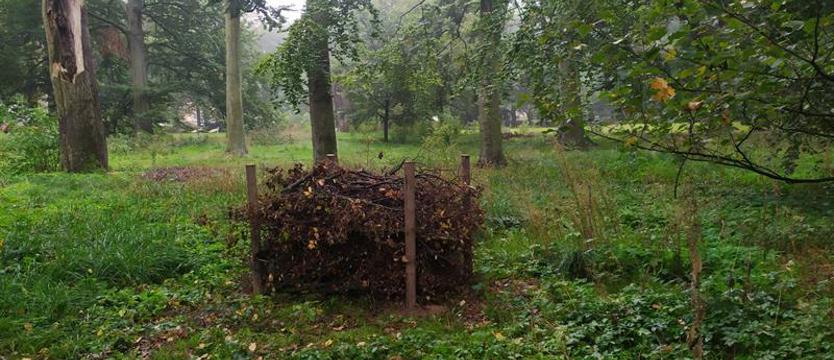 Powstają zimowe „gawry" dla małych zwierząt. Nie tylko dla jeży