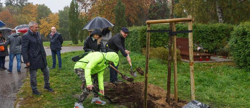 Drzewko Pamięci dla prof. Władysława Bartoszewskiego