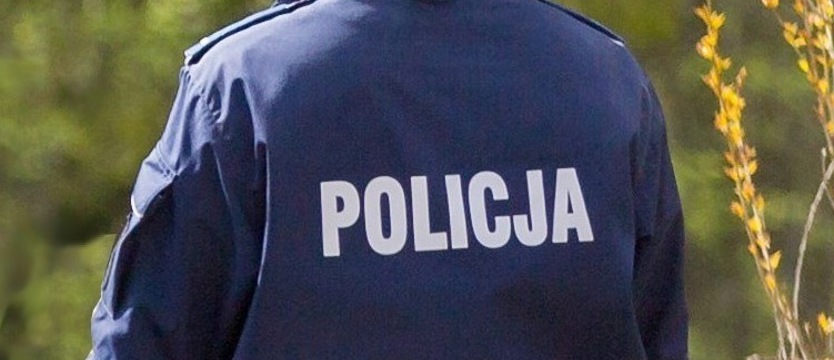 Zatrzymani nieletni sprawcy podpaleń altanek