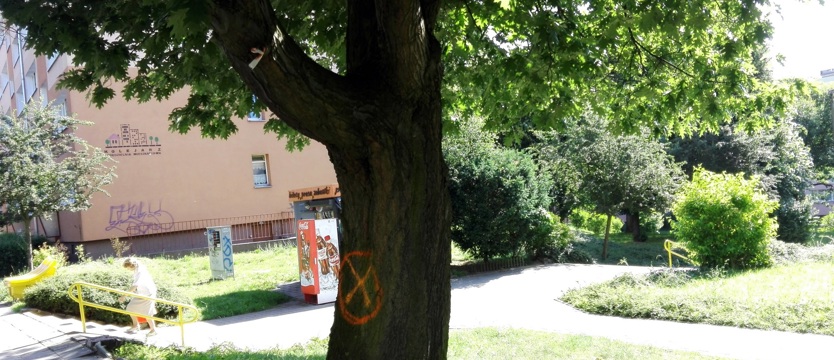 Ogród dżungli asfaltowej