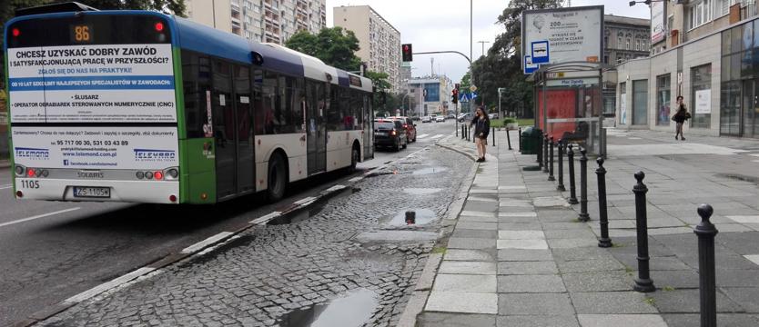 W alei teraz animacje i badania