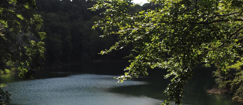 Szmaragdowy tort i latające smoki