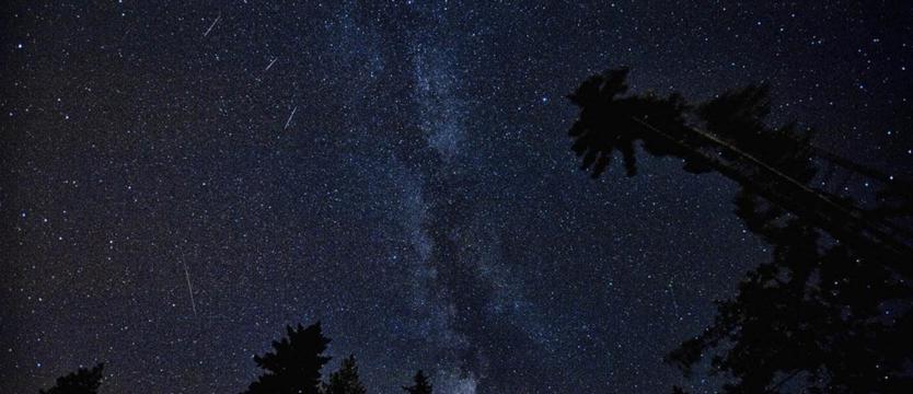 Perseidy nad psią polaną i Wyspą Grodzką