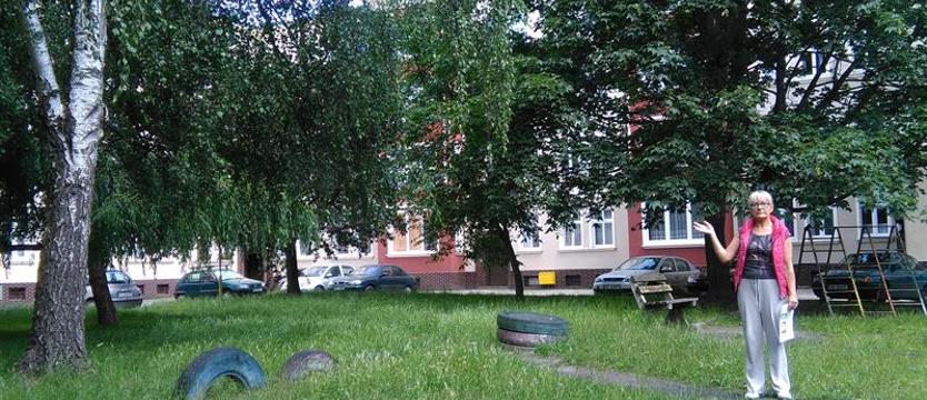 Zielone podwórko, czyli WSZYSTKO W PIEŃ?