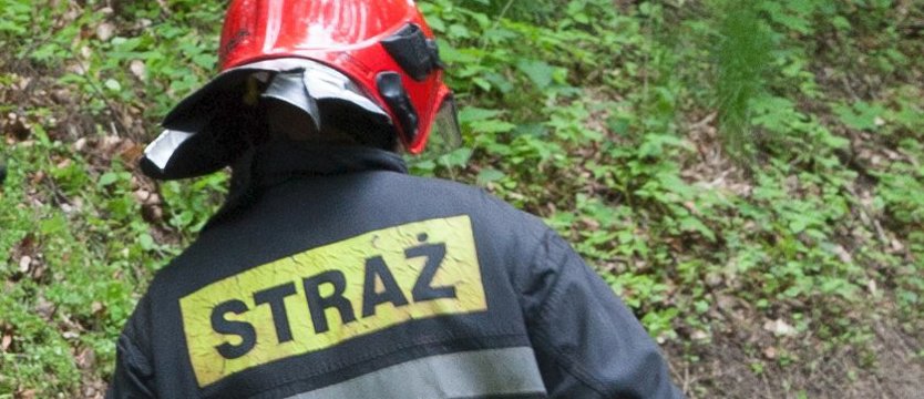 Przegląd obozów po tragedii w Suszku