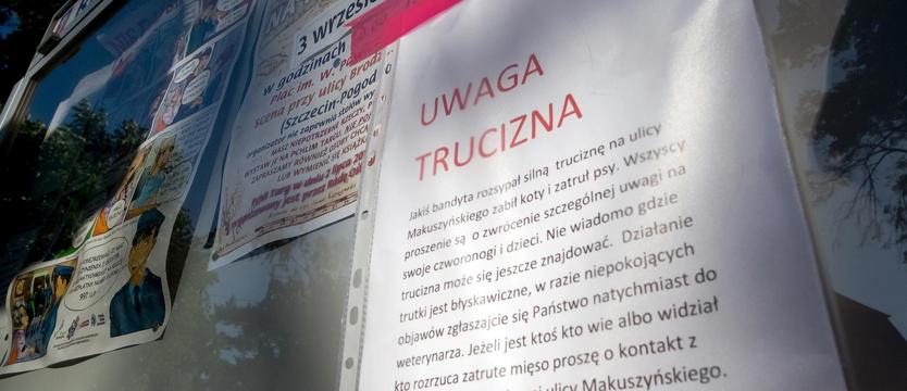 Czemu one winne?!