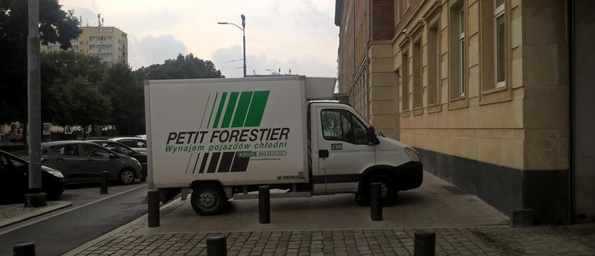 Fantazja czy głupota?
