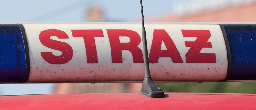 Auto uderzyło w drzewo i spłonęło