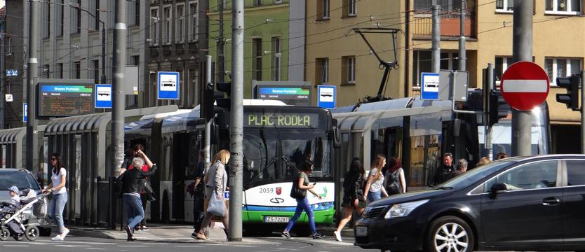 Pośpieszne cięcia. Co ludzie powiedzą?