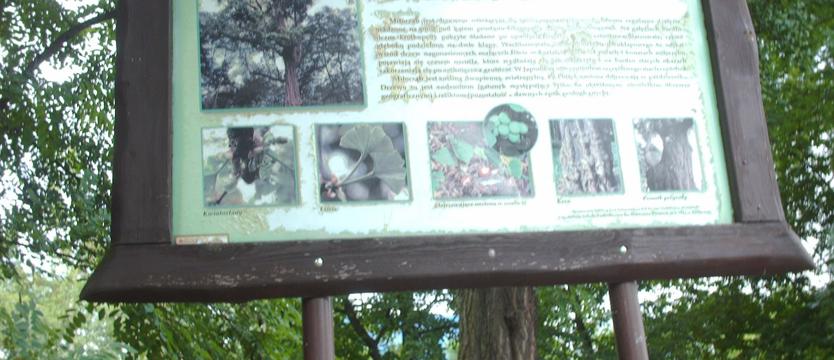 W trosce
