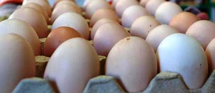 Fipronil w jajach z trzech polskich ferm