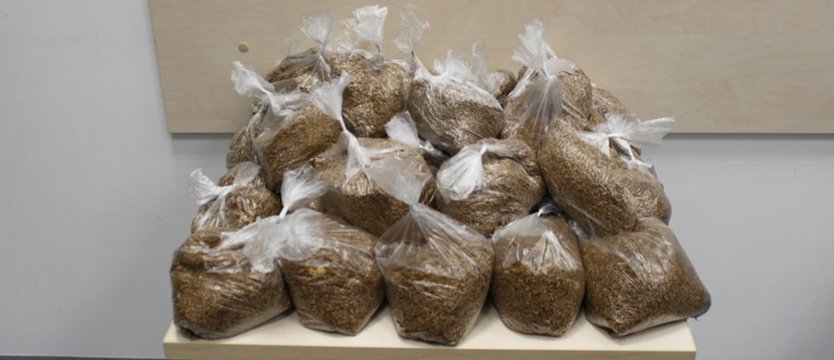 Osiem kilogramów nielegalnego tytoniu za szafą