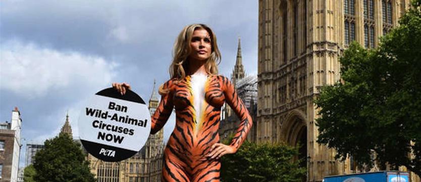 Joanna Krupa protestowała w Londynie
