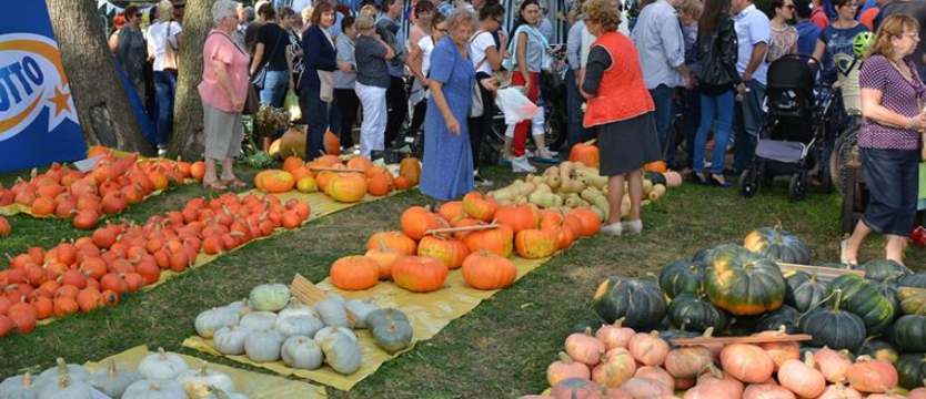 Weekend w regionie. Sprawdźcie, gdzie warto być